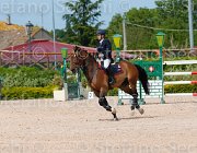 DI PALO BOLERO CampITA2013- S5 0754 : BOLERO VAN'T STENENPOORT, Campionati Italiani 2013, Cattolica, DI PALO ANIELLO, Horse Riviera Resort, foto di Stefano Secchi ©